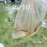 天气这么热，这个1元的快乐，你们有没有上车？