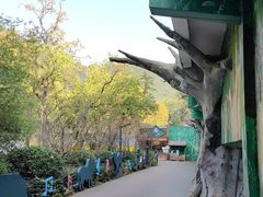 -黔灵山公园