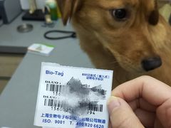 -爱侣宠医·鹦鹉专科·小型哺乳类·异宠专科(灵石路店)