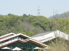 -西湖风景区-江洋畈生态公园