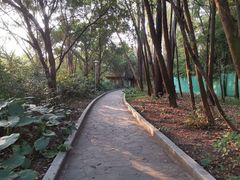 -南国桃园旅游度假区