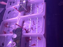 -华声天桥民俗文化园