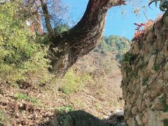 -康定跑马山风景区