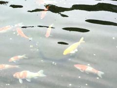 -太平禅寺