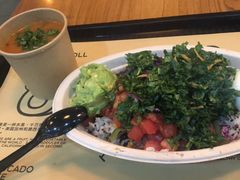 -油梨树 AVOCADO TREE(亮马桥店)