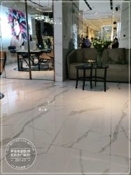 -罗亚帝造型·烫发染发