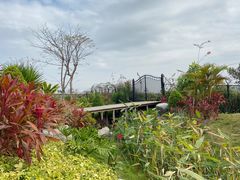 -光明小镇欢乐田园