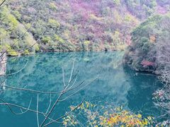 -郧西五龙河风景区