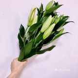 有自己买的，也有朋友国外带的，都很是喜欢