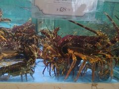 android_upload_pic-旺顺阁海鲜广场(亚运村店)
