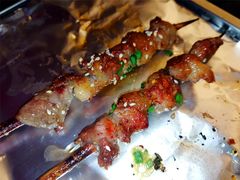 红柳枝羊肉串-地摊风云龙虾烧烤铺(润和国际店)