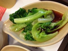 生菜-多喝汤(天河北路店)