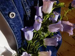 -米村拌饭(杭州国大城市广场店)