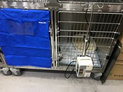 -安安宠医宠物医院·异宠·犬猫内科(岳阳分院)