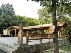 -内乡宝天曼生态旅游区