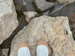 -幕燕滨江·燕子矶公园