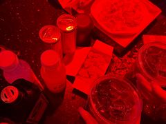 -骑士KTV(红谷滩万达店)