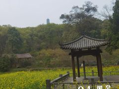 -古隆中景区