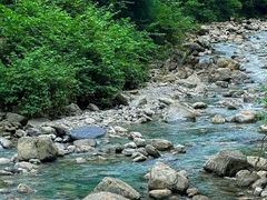 -鹿院坪生态旅游景区