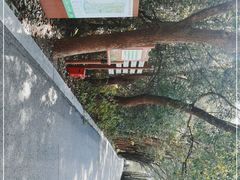 -同里国家湿地公园