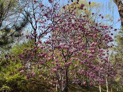 -石家庄市动物园