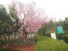 -圩墩遗址公园