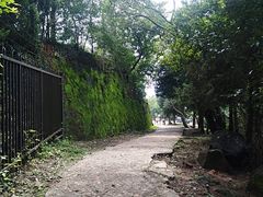 -大蜀山国家森林公园