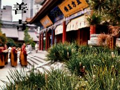 -西安大兴善寺