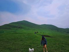 -灵山