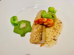 -蝶舍·MAISON PAPILLON