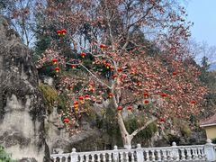 -绵阳人民公园(涪城区)