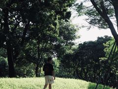 -四海公园(南山区)