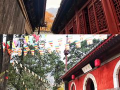 -北京上方山国家森林公园
