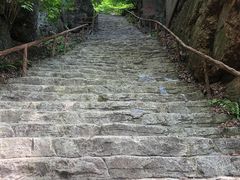 -天女山森林公园
