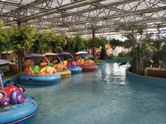 -南宫五洲植物乐园