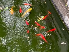 -万寿八仙宫
