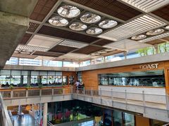 -ROAST coffee & eatery