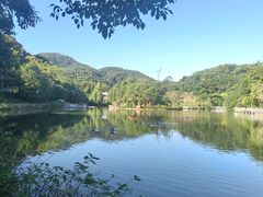 -广州市帽峰山景区