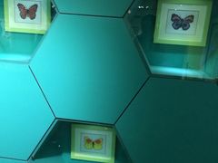 -上海昆虫博物馆