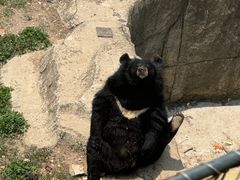 -大连森林动物园