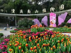 -南山植物园