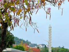 -长洲岛
