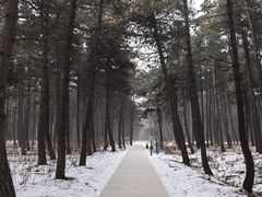 -长春净月潭风景名胜区