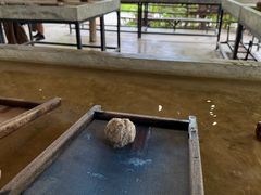 -大象粑粑造纸公园