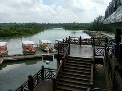 -东寨港红树林旅游区