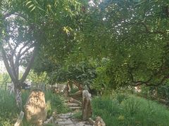-桃花堤公园