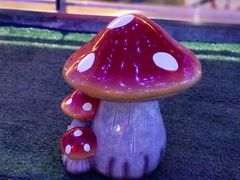 -佳兆业国际影城(鞍山店)