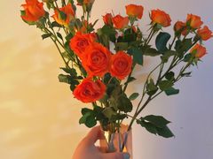 -循礼门鲜花花市(武汉循礼门店)