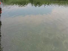 -苏州太湖湖滨国家湿地公园