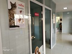 -瑞派福兴宠物医院犬猫全科·骨科·中西医结合(河东店)